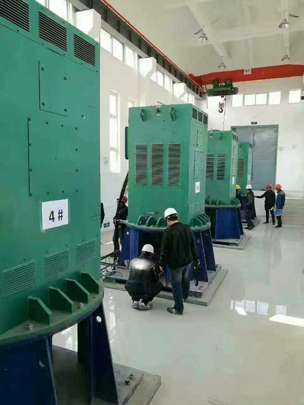Y5603-6某污水处理厂使用我厂的立式高压电机安装现场