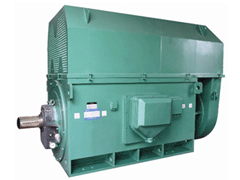 Y5603-6Y系列6KV高压电机