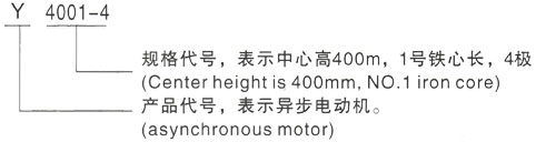 西安泰富西玛Y系列(H355-1000)高压Y5603-6三相异步电机型号说明